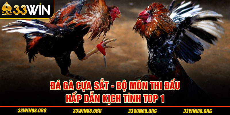 đá gà cựa sắt